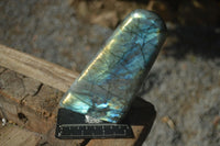 Polished Flashy Labradorite Standing Free Forms  x 3 From Tulear, Madagascar - Toprock Gemstones and Minerals 