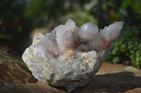 Natural Pale Lilac Spirit Quartz Clusters  x 2 From Boekenhouthoek, South Africa - Toprock Gemstones and Minerals 