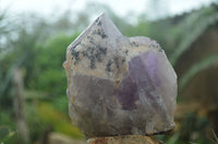 Natural Jacaranda Amethyst Cluster x 1 From Mumbwa, Zambia - TopRock