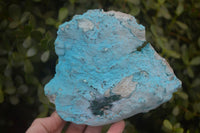 Natural Botryoidal Chrysocolla Specimens x 2 From Congo