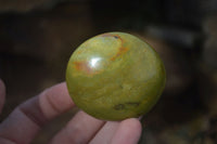 Polished Large Green Opal Palm Stones  x 12 From Antsirabe, Madagascar - Toprock Gemstones and Minerals 