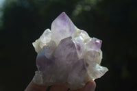 Natural Jacaranda Amethyst Clusters  x 3 From Mumbwa, Zambia - Toprock Gemstones and Minerals 