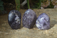 Polished Purple Lepidolite Standing Free Forms  x 3 From Zimbabwe