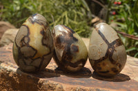 Polished Septaria Dragon's Eggs (Calcite & Aragonite) x 5 From Mahajanga, Madagascar - TopRock