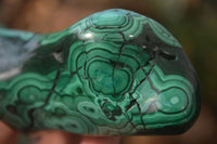 Polished Malachite Free Forms x 3 From Kolwezi, Congo