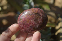 Polished Rhodonite Galet / Palm Stones x 12 From Zimbabwe