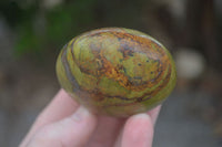 Polished Large Green Opal Palm Stones  x 12 From Madagascar - Toprock Gemstones and Minerals 