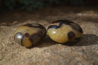 Polished Septaria Palm Stones x 12 From Mahajanga, Madagascar