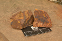 Natural Medium Cobbed Nguni Jasper Pieces - sold per 5 kg - From Northern Cape, South Africa - TopRock