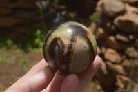 Polished Septaria Dragon's Eggs (Calcite & Aragonite) x 5 From Mahajanga, Madagascar - TopRock