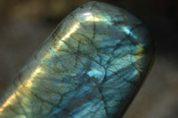 Polished Flashy Labradorite Standing Free Forms  x 3 From Tulear, Madagascar - Toprock Gemstones and Minerals 