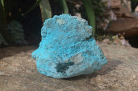 Natural Botryoidal Chrysocolla Specimens x 2 From Congo