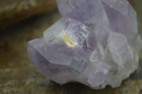 Natural Jacaranda Amethyst Clusters  x 3 From Mumbwa, Zambia - Toprock Gemstones and Minerals 