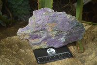 Natural Rough Stichtite & Serpentine Specimens x 2 From Barberton, South Africa