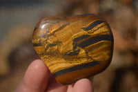 Polished Golden Tigers Eye Free Forms x 12 From Prieska, Northern Cape