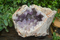 Natural Jacaranda Amethyst Cluster x 1 From Mumbwa, Zambia