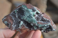 Natural Drusy Coated Ball Malachite On Dolomite Specimens x 2 From Likasi, Congo