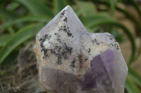 Natural Jacaranda Amethyst Cluster x 1 From Mumbwa, Zambia - TopRock