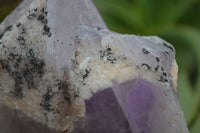 Natural Jacaranda Amethyst Cluster x 1 From Mumbwa, Zambia - TopRock