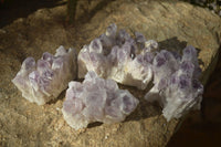 Natural Sugar Amethyst Clusters x 4 From Solwezi, Zambia