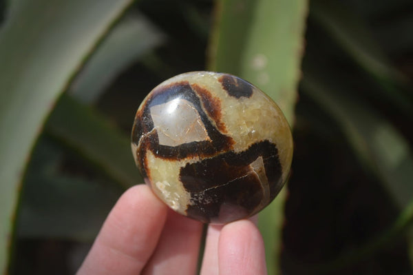 Polished Septaria (Calcite & Aragonite) Palm Stones  x 12 From Mahajanga, Madagascar