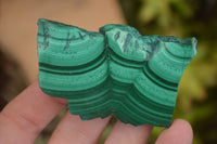 Polished Flower & Banded Malachite Slices  x 12 From Congo - Toprock Gemstones and Minerals 