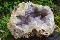 Natural Jacaranda Amethyst Cluster x 1 From Mumbwa, Zambia