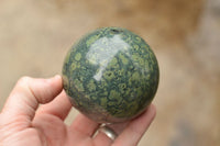 Polished Groovy Stromatolite / Nebula Jasper Spheres  x 4 From Katsepy, Madagascar - TopRock