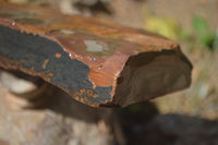 Natural Sliced Tigers Eye Specimen x 1 From Prieska, South Africa - Toprock Gemstones and Minerals 