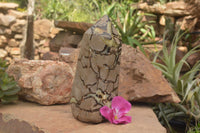 Polished Large Septaria (Yellow Calcite and Aragonite) Point x 1 From Mahajanga, Madagascar - TopRock