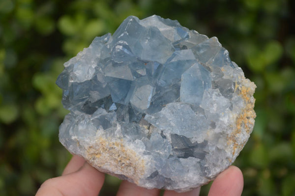 Natural Blue Celestite Crystal A Grade Specimens  x 2 From Madagascar - Toprock Gemstones and Minerals 