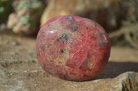 Polished Rhodonite Galet / Palm Stones x 12 From Zimbabwe