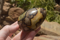 Polished Septaria Dragon's Eggs (Calcite & Aragonite) x 5 From Mahajanga, Madagascar - TopRock