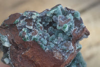 Natural Drusy Coated Ball Malachite On Dolomite Specimens x 2 From Likasi, Congo