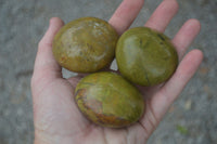 Polished Large Green Opal Palm Stones  x 12 From Madagascar - Toprock Gemstones and Minerals 