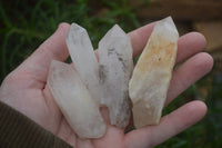 Natural Large Pineapple Candle Quartz Crystals  x 24 From Madagascar - Toprock Gemstones and Minerals 