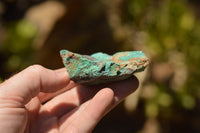 Natural Rough Malacholla With Copper Specimens  x 15 From Namibia - TopRock