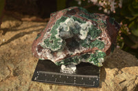 Natural Rare Ball Malachite On Drusy Quartz & Dolomite Matrix  x 2 From Kambove, Congo