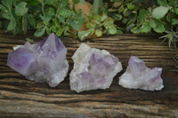 Natural Jacaranda Amethyst Clusters  x 3 From Mumbwa, Zambia - Toprock Gemstones and Minerals 