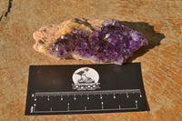 Natural Dark "Amethystos" Amethyst Plates  x 12 From Kwaggafontein, South Africa - TopRock