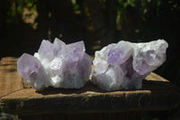 Natural Jacaranda Amethyst Clusters x 2 From Mumbwa, Zambia - TopRock