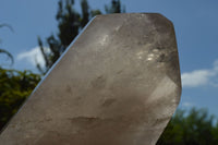 Polished Large Semi Optic Highly Translucent Smokey Quartz Point x 1 From Madagascar - TopRock