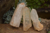 Natural Single White Quartz Crystals  x 12 From Madagascar - TopRock