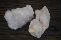 Natural White Cactus Flower Spirit Quartz Specimens  x 2 From Boekenhouthoek, South Africa - Toprock Gemstones and Minerals 