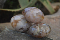 Polished Ocean  Flower Agate Palm Stones  x 12 From Madagascar