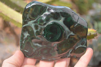 Polished Malachite Free Forms x 3 From Kolwezi, Congo