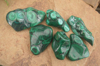 Polished Flower Malachite Free Forms  x 6 From Congo