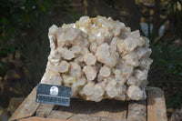 Natural Extra Large Cascading White Phantom Smokey Quartz Cluster x 1 From Luena, Congo