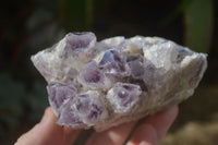 Natural Sugar Amethyst Clusters x 4 From Solwezi, Zambia