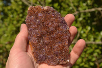 Natural Dark "Amethystos" Amethyst Plates  x 12 From Kwaggafontein, South Africa - TopRock